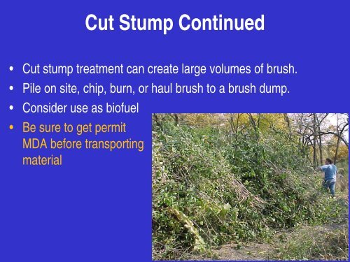 Buckthorn: Identification, Impacts, and Control