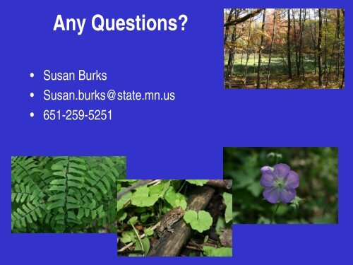 Buckthorn: Identification, Impacts, and Control