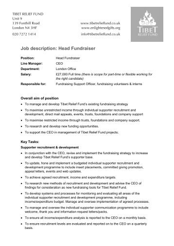 ceo description