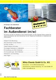 Fachberater im AuÃƒÂŸendienst (m/w) - Witty Chemie GmbH & Co. KG