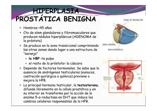 calculo erizo.pdf