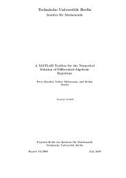 Portable Document Format (PDF) - Institut für Mathematik - TU Berlin