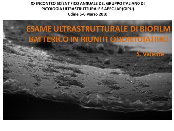 esame ultrastrutturale di biofilm batterico in riuniti ... - Siapec