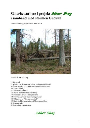 SÃ¤ker Skogs verksamhet i samband med stormen Gudrun (PDF)