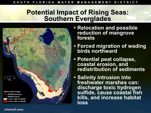 Climate Change and Water Management in South Florida