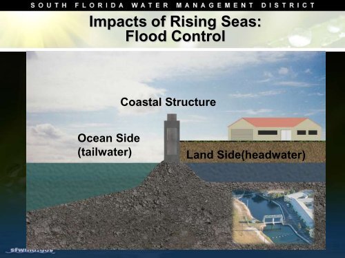 Climate Change and Water Management in South Florida