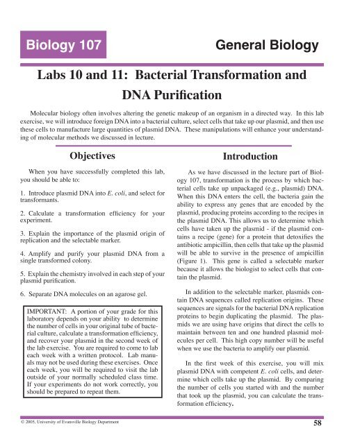 Biology 107 General Biology Labs 10 and 11 - University of Evansville