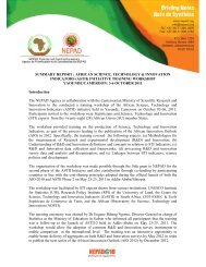SUMMARY REPORT : AFRICAN SCIENCE, TECHNOLOGY - Nepad