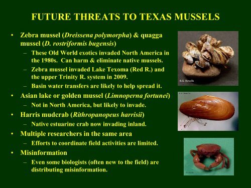 Howells Freshwater Mussels App