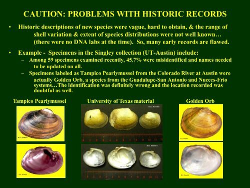 Howells Freshwater Mussels App