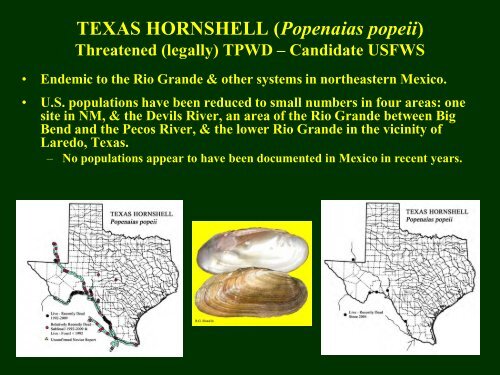 Howells Freshwater Mussels App