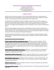 texas incident management situation report - Wildland Fire