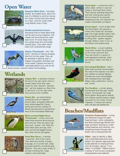 Birding for Boaters - New Jersey Audubon Society