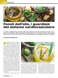 Fenoli dell'olio, i guardiani del sistema cardiovascolare - Agricoltura24