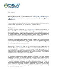 June 20, 2010 Informe del Presidente a la Asamblea ... - GreenNexxus