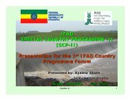 IFAD SPECIAL COUNTRY PROGRAMME -II (SCP-II ... - IMAWESA
