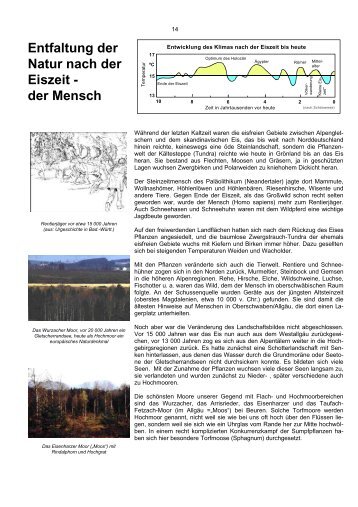 Entfaltung der Natur nach der Eiszeit - der Mensch - Eglofs