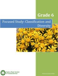 Grade 6 Lesson Plan - Native Plant Society of Saskatchewan