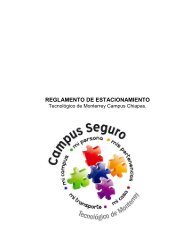 REGLAMENTO DE ESTACIONAMIENTO - Chiapas - TecnolÃ³gico ...