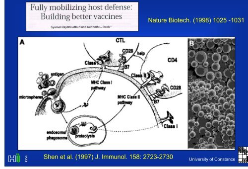 Metabolische Azidose : PlasmaanionenlÅ¸cke - UniversitÃ¤t Konstanz