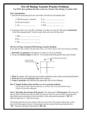 genetics essay Genetic essay - choose the service, and our experienced scholars will fulfil your order flawlessly experienced writers engaged in the service will write your task within the deadline making a custom paper means go through a lot of steps. genetics essay Genetic essay - choose the service, and our experienced scholars will fulfil your order flawlessly experienced writers engaged in the service will write your task within the deadline making a custom paper means go through a lot of steps.
