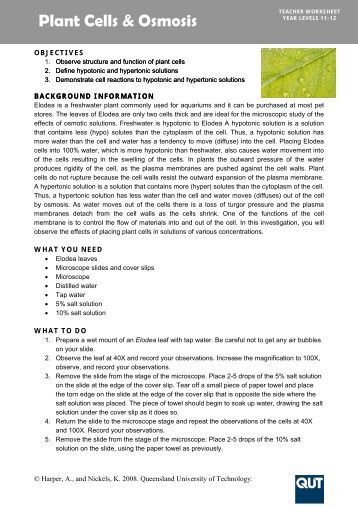 plant cells osmosis lab report Lab #3 cell structure and osmosis introduction in experiment # 1, we attempted to determine the osmotic potential of a plant cell using potatoes, by allowing 6 potato cores to soak in different concentrations of a sucrose solution in experiment # 2, we observed a variety of cell types under a microscope. plant cells osmosis lab report Lab #3 cell structure and osmosis introduction in experiment # 1, we attempted to determine the osmotic potential of a plant cell using potatoes, by allowing 6 potato cores to soak in different concentrations of a sucrose solution in experiment # 2, we observed a variety of cell types under a microscope.
