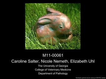 M11-00061 Caroline Salter, Nicole Nemeth, Elizabeth Uhl