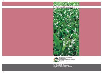 Umdoni LED Strategy - Department of Economic Development and ...