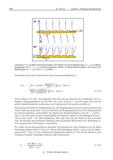 Beugung und Interferenz - Walther MeiÃƒÂŸner Institut