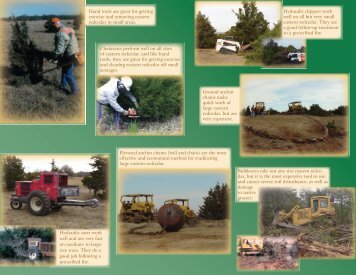 other treatment options - Oklahoma Forestry Services