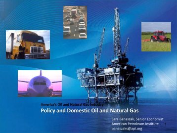 Policy and Domestic Oil and Natural Gas