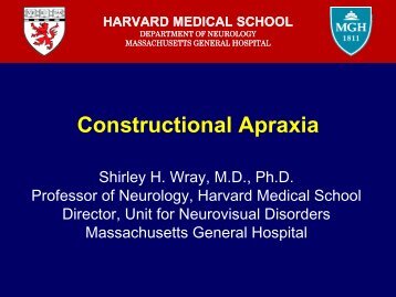 Constructional Apraxia