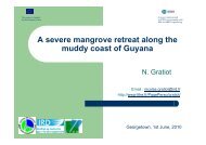 A severe mangrove retreat along the muddy coast of Guyana - LTHE