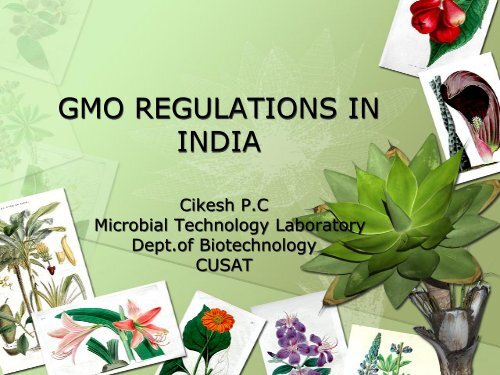 gmo regulations in india - (CUSAT) â Plant Biotechnology laboratory