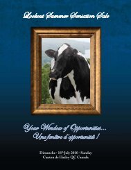 Lookout Summer Sensation Sale - Holstein World Online