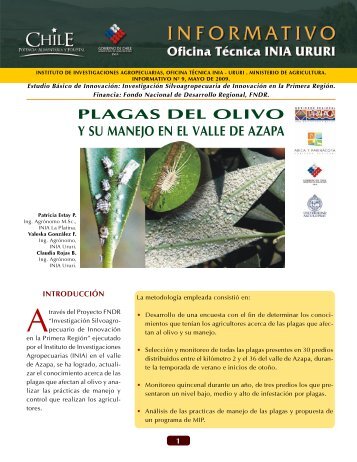 Plagas del olivo y su manejo en el valle de Azapa - Platina - INIA