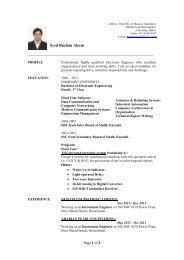 Sample Engineering CV