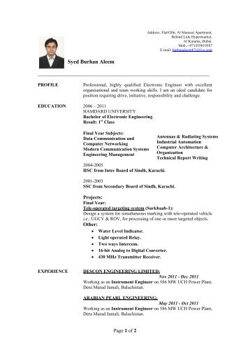 Sample Engineering CV