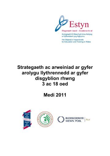 Strategaeth ac arweiniad ar gyfer arolygu ... - Learning Wales