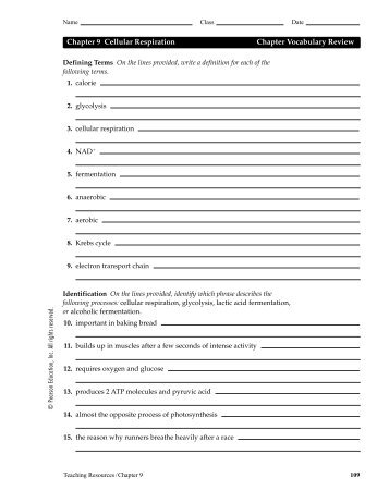the great gatsby chapters 8â 9 vocabulary