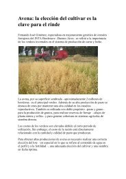 Avena: la elecciÃ³n del cultivar es la clave para el rinde - desarrollo ...