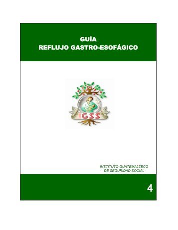 4 - Instituto Guatemalteco de Seguridad Social