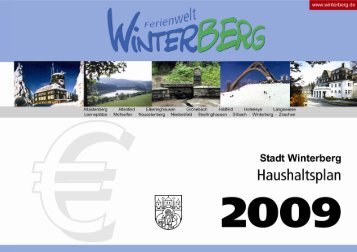 Produkthaushalt 2009 - Rathaus Winterberg