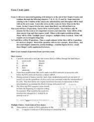 Exam 2 study guide