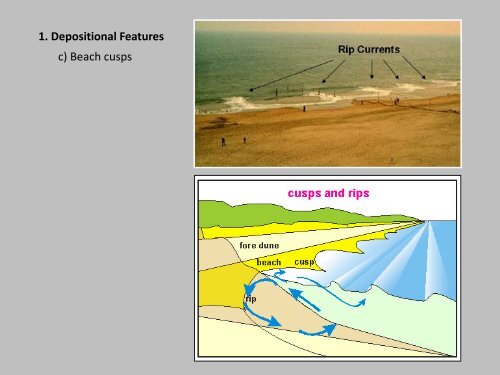 Coastal Processes and Landforms