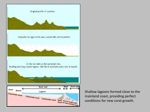 Coastal Processes and Landforms