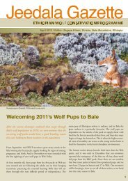 pdf - 1.6Mb - Ethiopian Wolf Conservation Programme