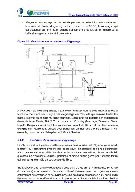 ÉTUDE DE LA FILIÈRE COTON EN RDC Version finale - ACP Cotton