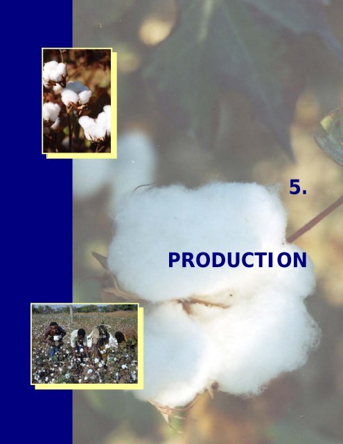 ÉTUDE DE LA FILIÈRE COTON EN RDC Version finale - ACP Cotton