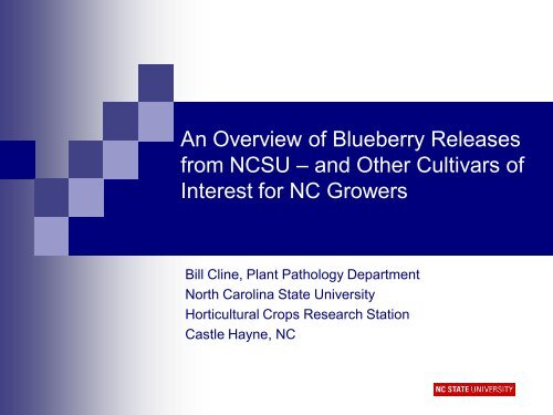 An Overview of Blueberry Releases from NCSU - The Southern ...